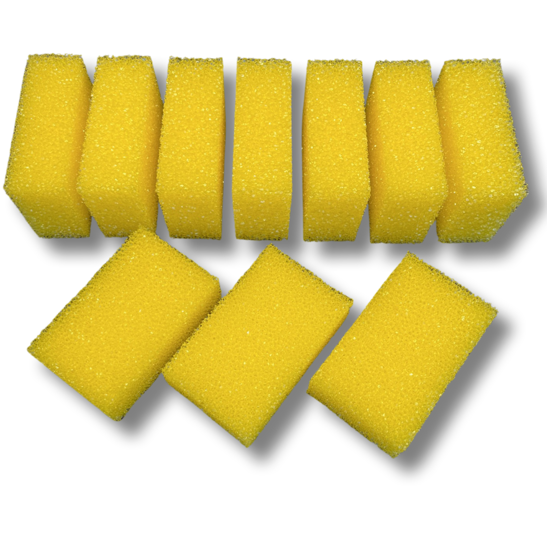 MAUS - insectenspons auto 10 stuks - 11x7x4cm. - krasvrij reinigen